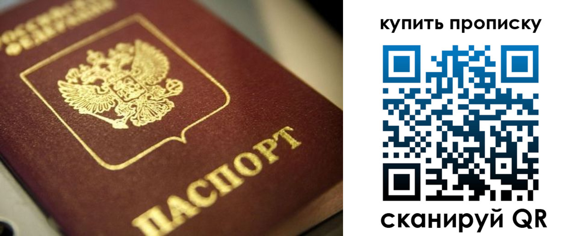 прописка поиск в Пересвете